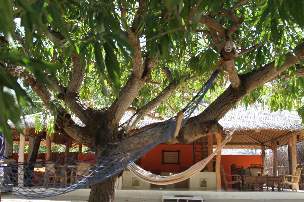 Cocodance Kitesurfing Resort Kalpitiya Εξωτερικό φωτογραφία